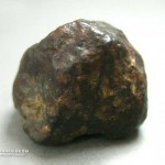 Метеорит NWA 869
