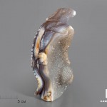 Игуана из агата с жеодой кварца, 15х7,7х6,7 см