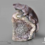 Игуана из агата с жеодой аметиста, 15,2х10,8х6,3 см