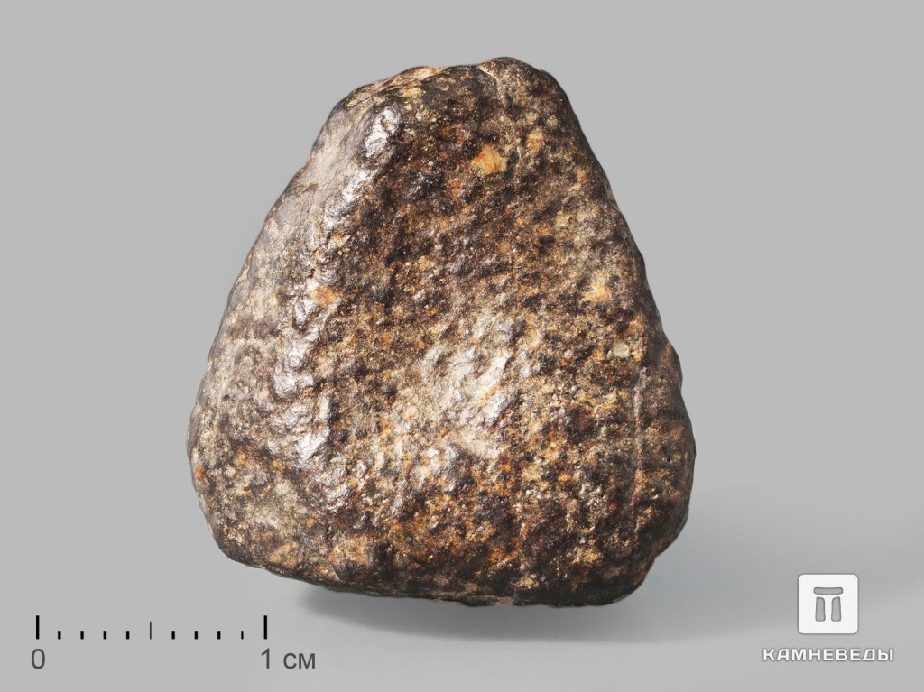 Метеорит NWA 869, 2,4х2х1,6 см (11-12 г)