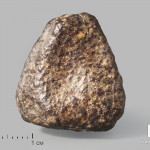 Метеорит NWA 869, 2,4х2х1,6 см (11-12 г)