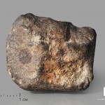 Метеорит NWA 869, 3х2х1,8 см (18-20 г)