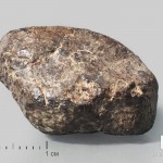 Метеорит NWA 869, 2,5х2х1,5 см (13 г)