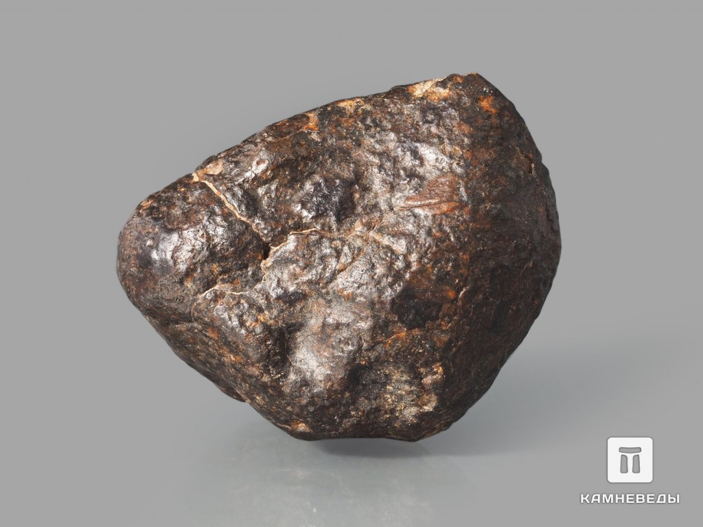 Метеорит NWA 869, 1,8-2,5 см (6-7 г)