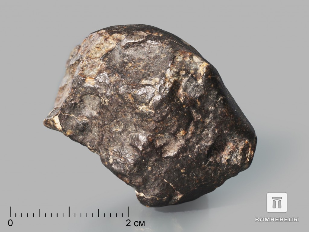 Метеорит NWA 869, 3,7х3,3х2,7 см (43 г)