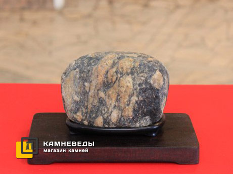 Выставка суйсеки "Говорящие камни" во Владимире